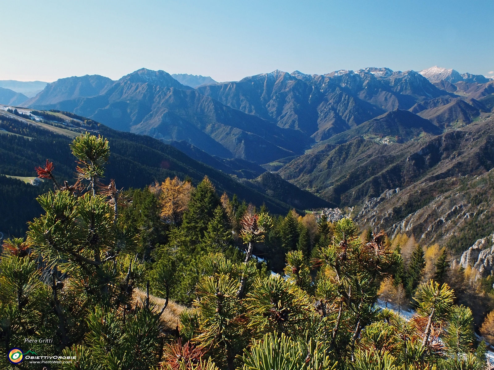 28 mughi, abeti, larici colorati d'autunno....JPG